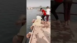 New 💫 Timli status 2025||Dj Remix 💗Gujarati Timli WhatsApp status 2025||Gujarati🤩 Whatsapp Status