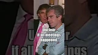 Thiel's Unsettling Connections: Epstein Meetings Revealed #peterthiel #jeffreyepstein #connection