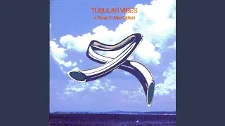 Moonlight Shadow (Dance Version)