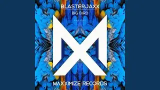 Big Bird (Extended Mix)