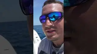 Snapper, grouper & kingfish haul 🐟 Full vid 🎥 #catchcook #fishingtrip  #viral