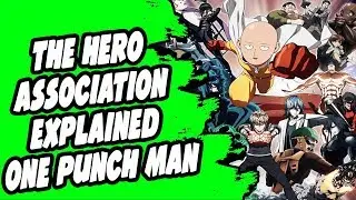 The Hero Association Explained From One Punch Man
