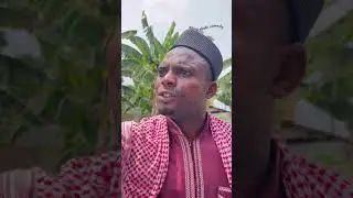 Pregnant Walla #comedy #worldwidecomedy #funny #nollywwod #nollywoody #movie #film