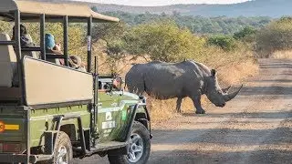 Jonathan explores the beautiful KZN wilderness on Top Billing | FULL INSERT