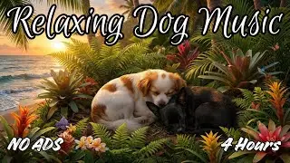 4 Hours Relaxing Dog Music 🐾 Calm Your Puppy Instantly 🐶💤 [NO ADS]