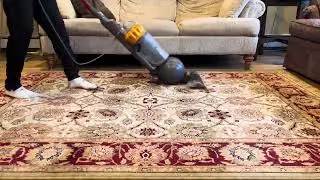 DYSON Ball Animal Vacuum Sound and Video