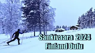 Classic cross country skiing : Finland Oulu Sankivaara -13 °C 2024