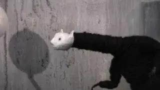 Curiouser and Curiouser
