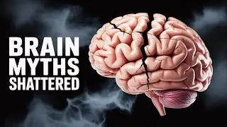Neuroscientists Exposed the Biggest Brain Misconception