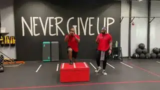Plyo-Box: Alternating Step Jumps