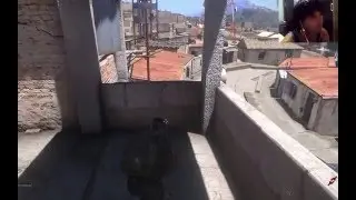 Mod bope favelas-RJ