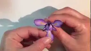 Paper Iris Flower Tutorial