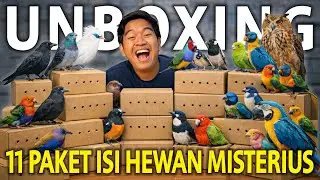 UNBOXING PAKET ISI HEWAN MISTERIUS! UNBOXING PERTAMA DI 2026!