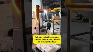 Column palletizing robot.#robot #industrial #welding #spraying #automation #peeling #palletizing