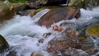 Stream Ambience for Focus and Relaxation &bull; 1 Hour Natural Water Sounds for Clarity 4K