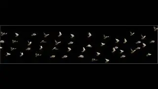 Nicholas Brown - Young & Wild Ft. S28 “Long Live”