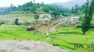 Nakkar Valley Jammu Kashmir | Nakkar Nali | Pallandri