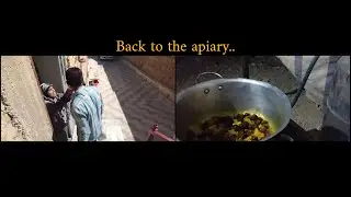 Back to the apiary: Rural Cooking Adventures in the Countryside