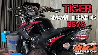 Mumpung masih belum punah Tiger revo 2012 simpanan