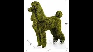 Poodle Topiary SM