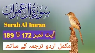 Surah Al-Imran Ayat 172&ndash;189 | Para 4 Ruku 9,10 | Quran Tilawat with Urdu Translation | Quran Tilawat
