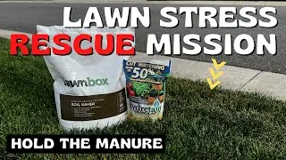 TWO Excellent Products to Help With Lawn Heat Stress