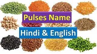 दालें - हिंदी में दालें - दालों के नाम हिंदी में