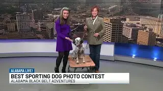 Alabama Black Belt Adventures holding sporting dog photo contest