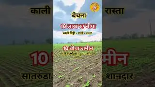 10 bigha agriculture land for sale in madhya pradesh।। agriculture land sale।। property।। #shorts