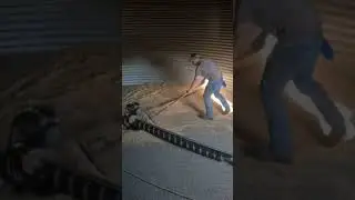 The Broom Eater - Old Grain Bin Floor Design Explained