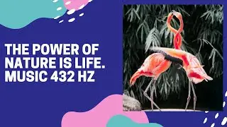 Cool music for deep sleep. The power of nature is life. Красивая музыка для сна. Сила природы жизнь.