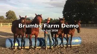 Liberty Demo