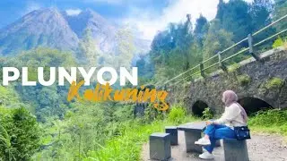 Plunyon Kalikuning Terbaru‼️Objek Wisata Alam di Yogyakarta