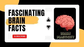 How does your brain works | Brain Plasticity | #brainscience #brainside