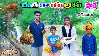 ఈత కాయలకు పోతే ఎం ఐంది || etha kayalaku pothe || manu videos || telugu letest all