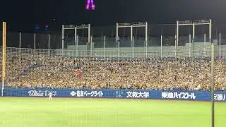 神宮　阪神ファン①