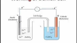 Daniell Cell #daniellcell #daniellcellworking