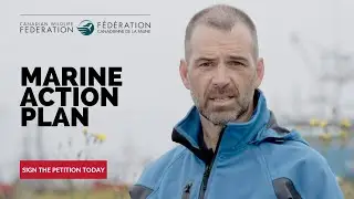 CWF Marine Action Plan