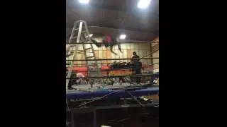 Australian Wrestling Fail