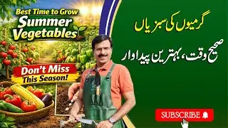 Best Time to Grow Summer Vegetables | Don&rsquo;t Miss This Season! | Gardening With Javed Iqbal