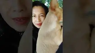 Hyper Active Dog 🐩🐕🐕 Sophia But She's Sweet And Lovable