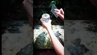 Simple Experiment ||The Techno Artist||#shorts #youtubeshorts
