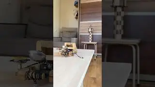 Onager 1