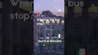Bus stop #italianforforeigners #travelphrase #language #english #italian