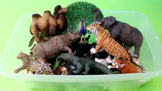 Asian Animal Figurines - Learn Animal Names