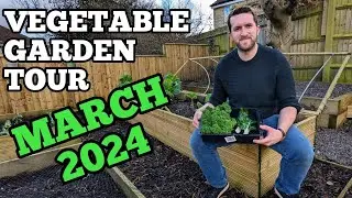 Tour of my VEGETABLE garden and ALLOTMENT in MARCH! Lots of seedlings and a few simple HARVESTS! 🌱