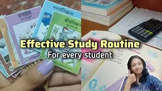 Учебный план, которому может следовать каждый студент 📚