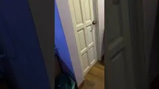 DISASTER!! Cockroach SURPRISE in shower 💀 #shorts ~ Wild roach NOT A PRANK.