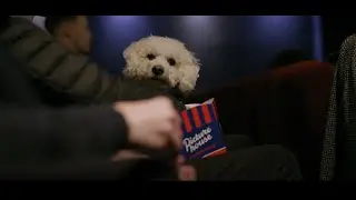 Our Picturehouse | Picturehouse Cinemas Ident | With Subtitles and Audio Description