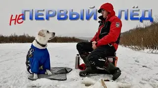 Открытие первого льда